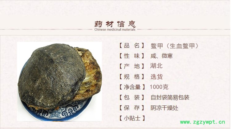 生血鳖甲1.jpg