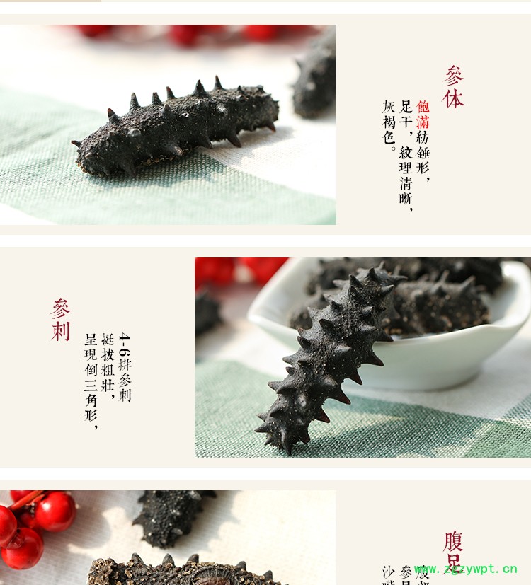 海参4.jpg