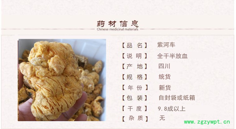 放血 胎盘_副本.jpg