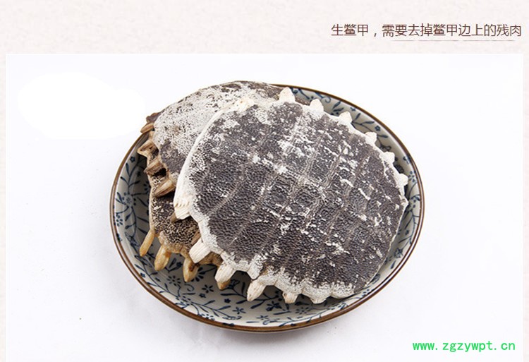 鳖甲壳4.jpg