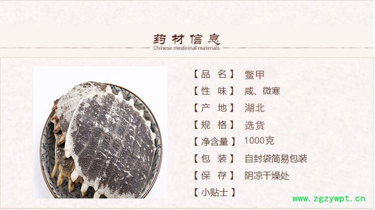 鳖甲壳1.jpg