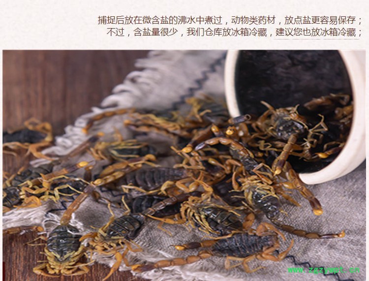 陕西清水全蝎淡盐1.jpg