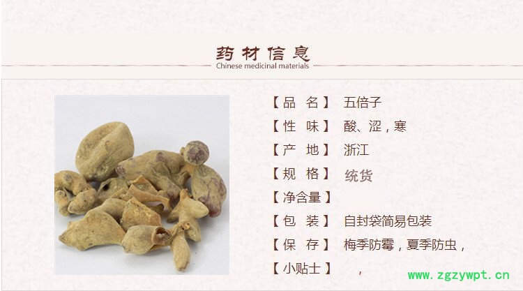 五倍子1_副本.jpg