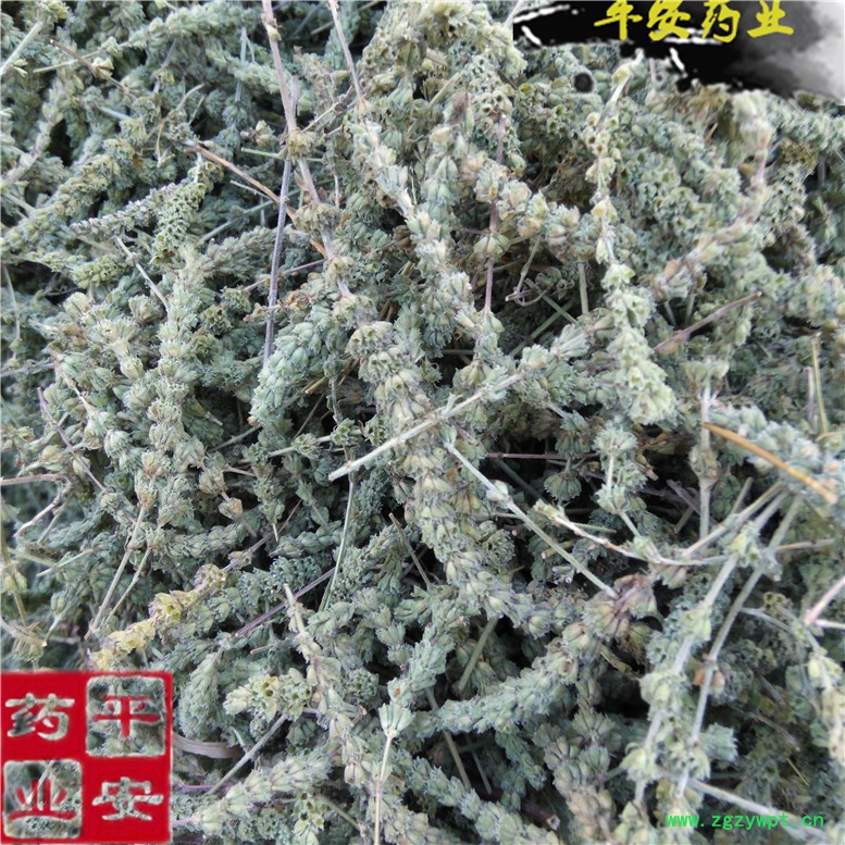 荆芥芥穗30~02_副本.jpg