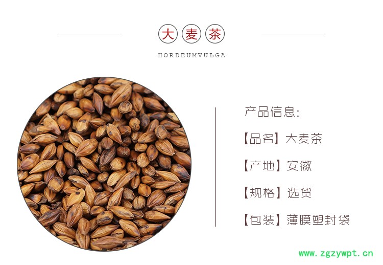大麦茶-选货-产地安徽2.jpg