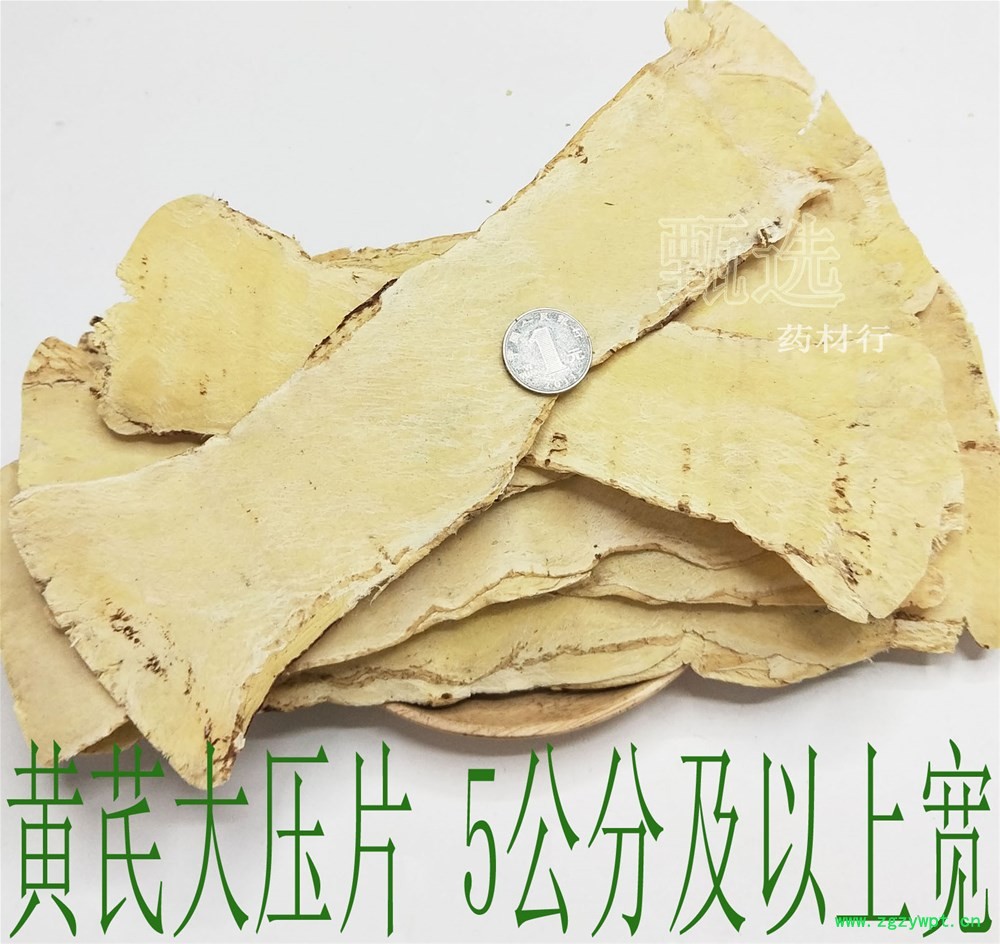 黄芪大压片5公分宽水印1.jpg