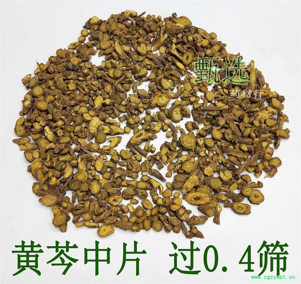黄芩中片水印1.jpg