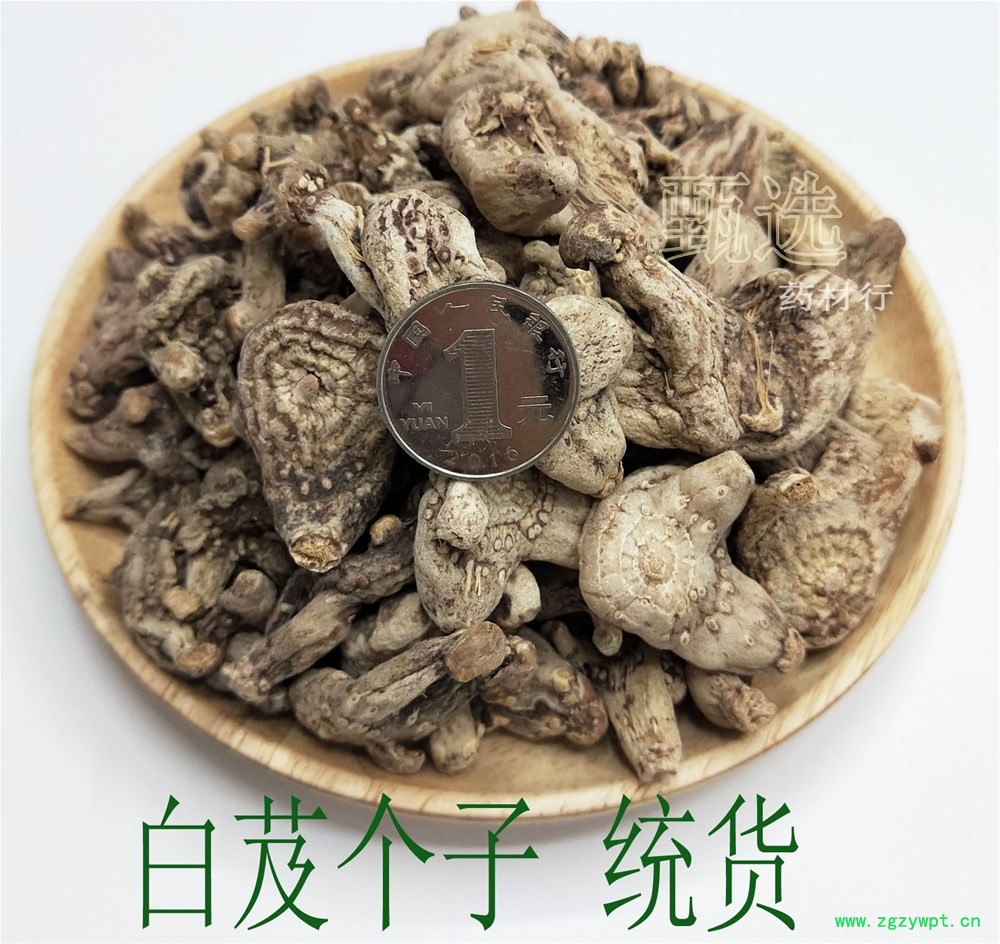 云南白芨统个水印1.jpg