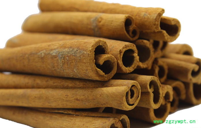 肉桂1.png