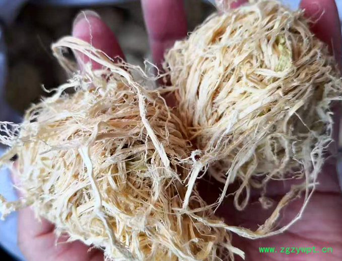 竹茹球.png 竹茹球.png