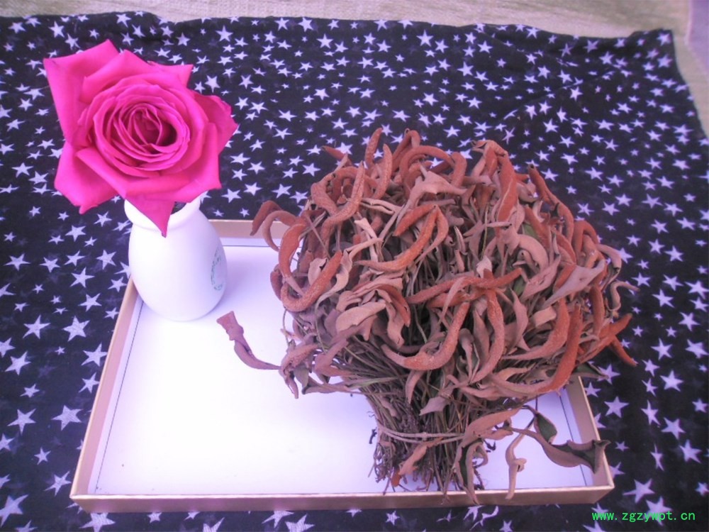 undefined SAM_3633.JPG