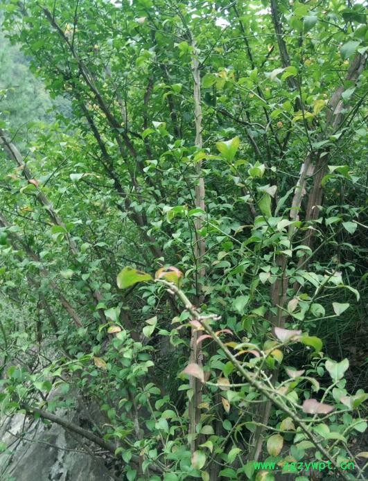 360截图20180518201643196.jpg 360截图20180518201643196.jpg