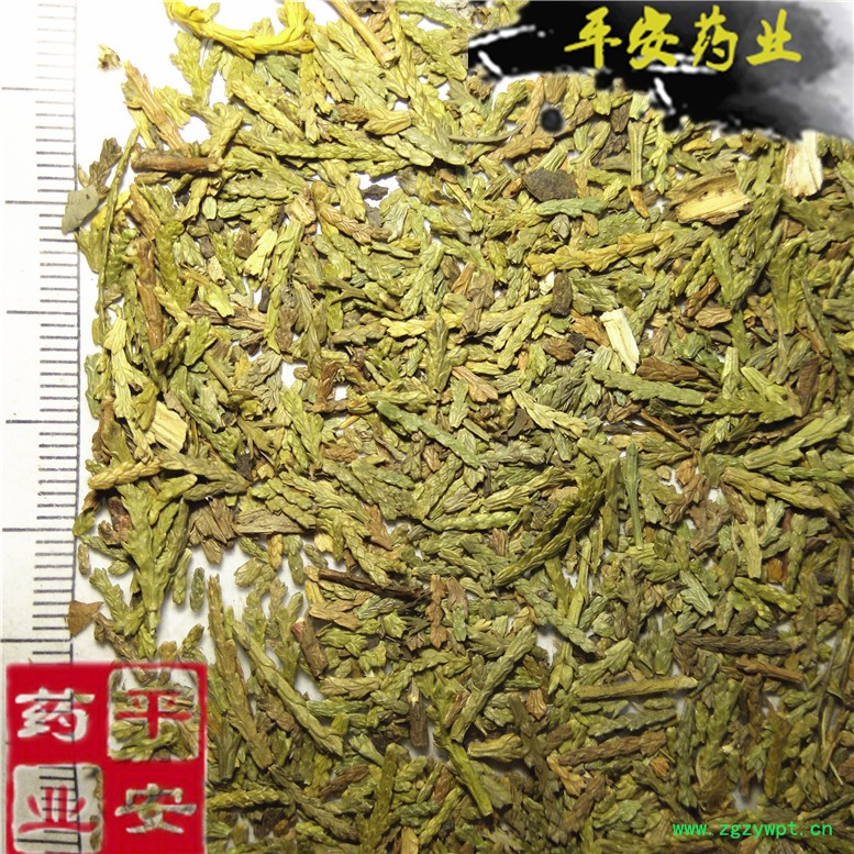 侧柏5龙~04_副本.jpg