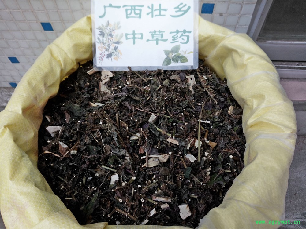 IMG_20161008_123541.jpg IMG_20161008_123541.jpg