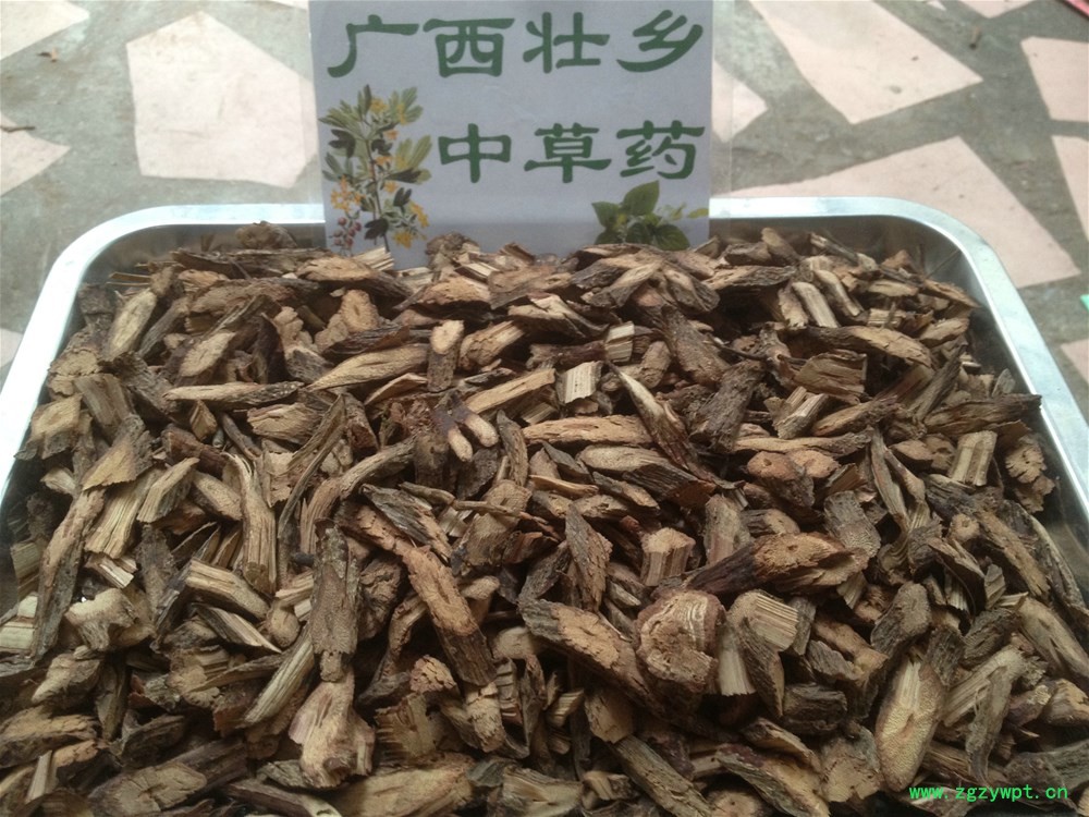 IMG_4040.JPG IMG_4040.JPG