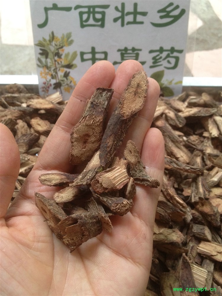 IMG_4047.JPG IMG_4047.JPG