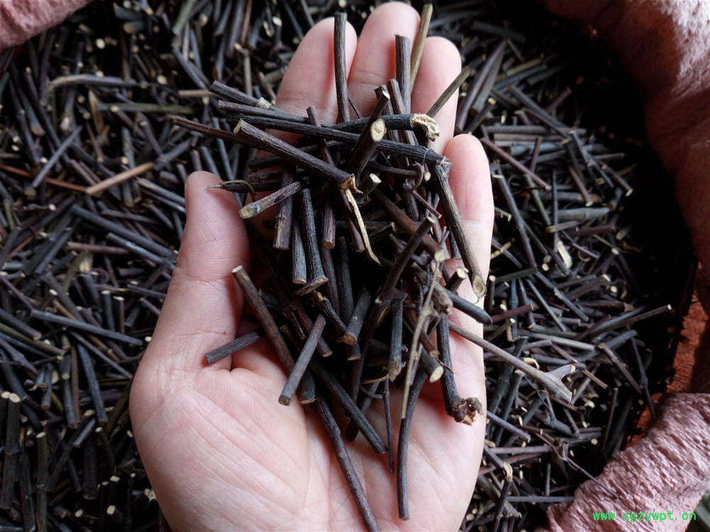 IMG_20170501_150046.jpg IMG_20170501_150046.jpg