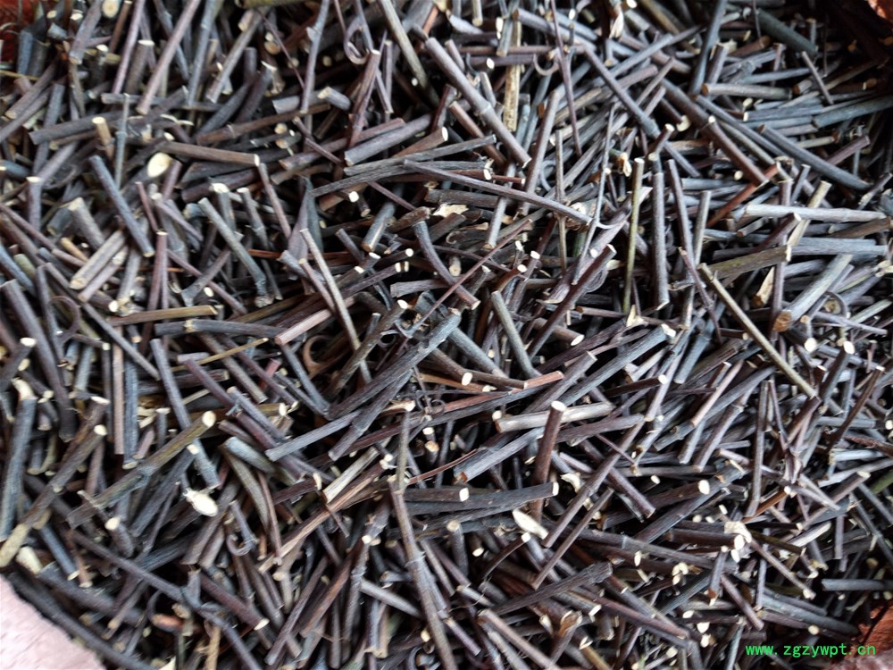 IMG_20170501_145954.jpg IMG_20170501_145954.jpg