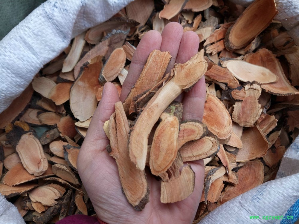 IMG_20161204_090950.jpg IMG_20161204_090950.jpg