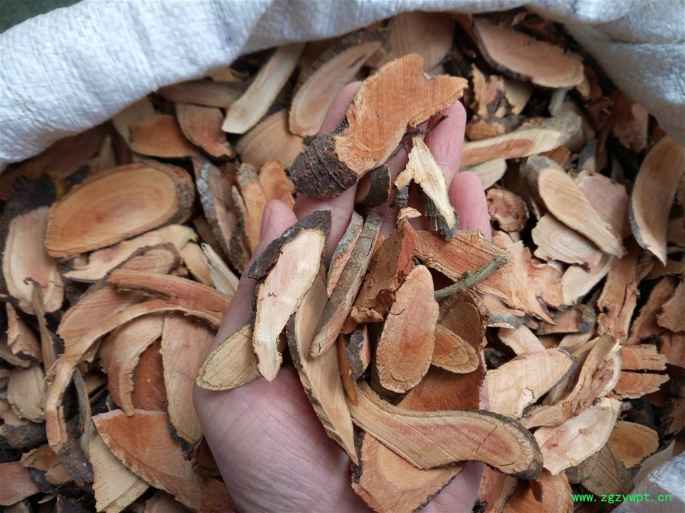 IMG_20161204_090923.jpg IMG_20161204_090923.jpg