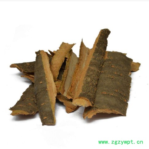 TB2b83ZhYGYBuNjy0FoXXciBFXa_!!308072723 (1).jpg