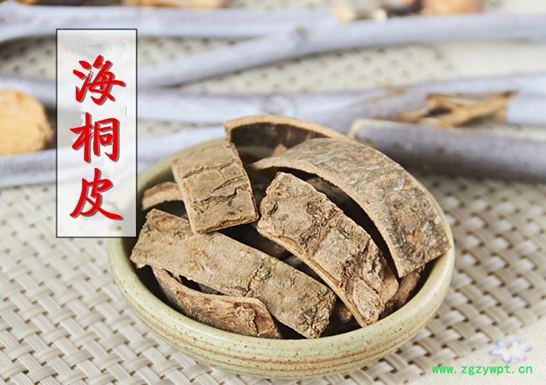 海桐皮1.jpg