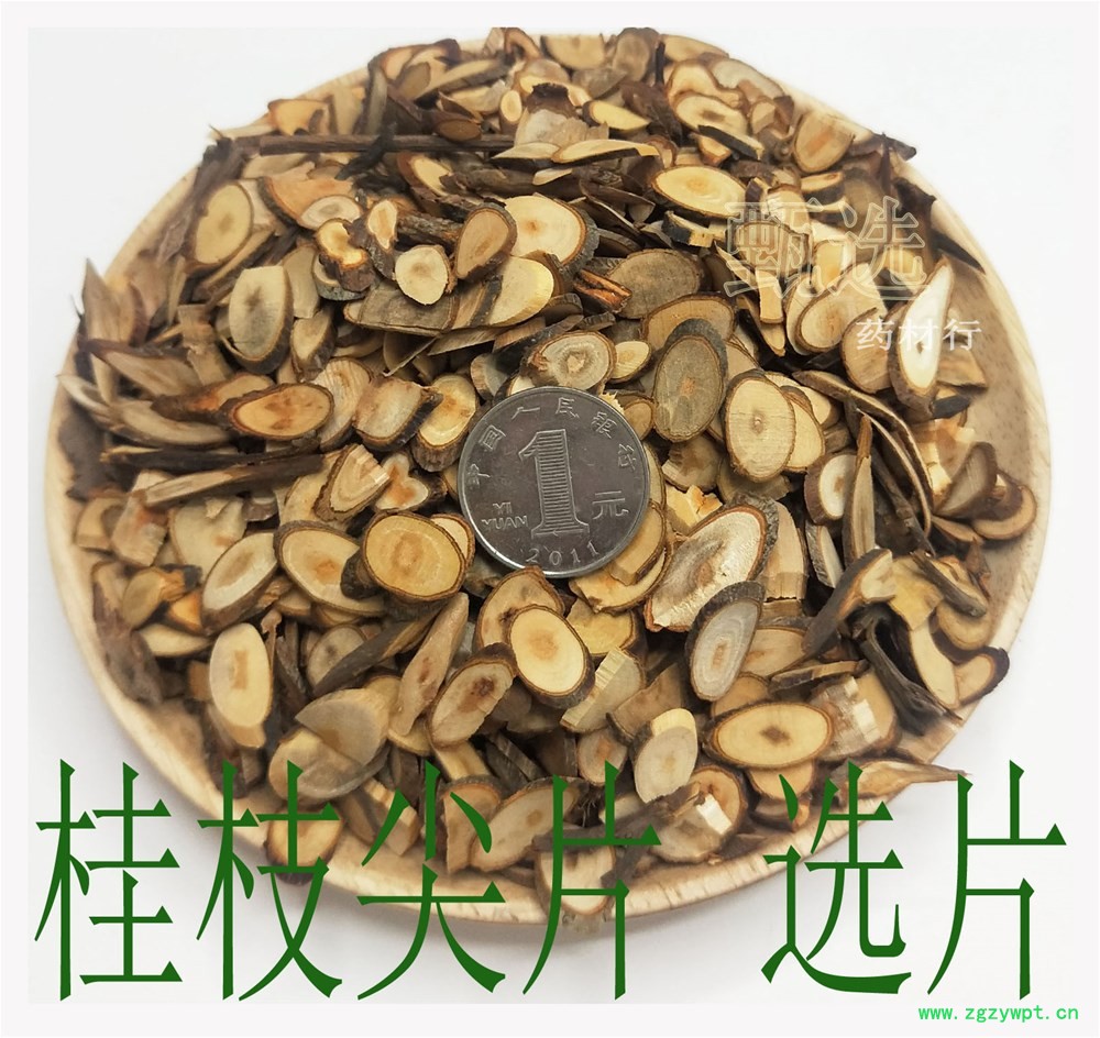 桂枝尖片选水印1.jpg