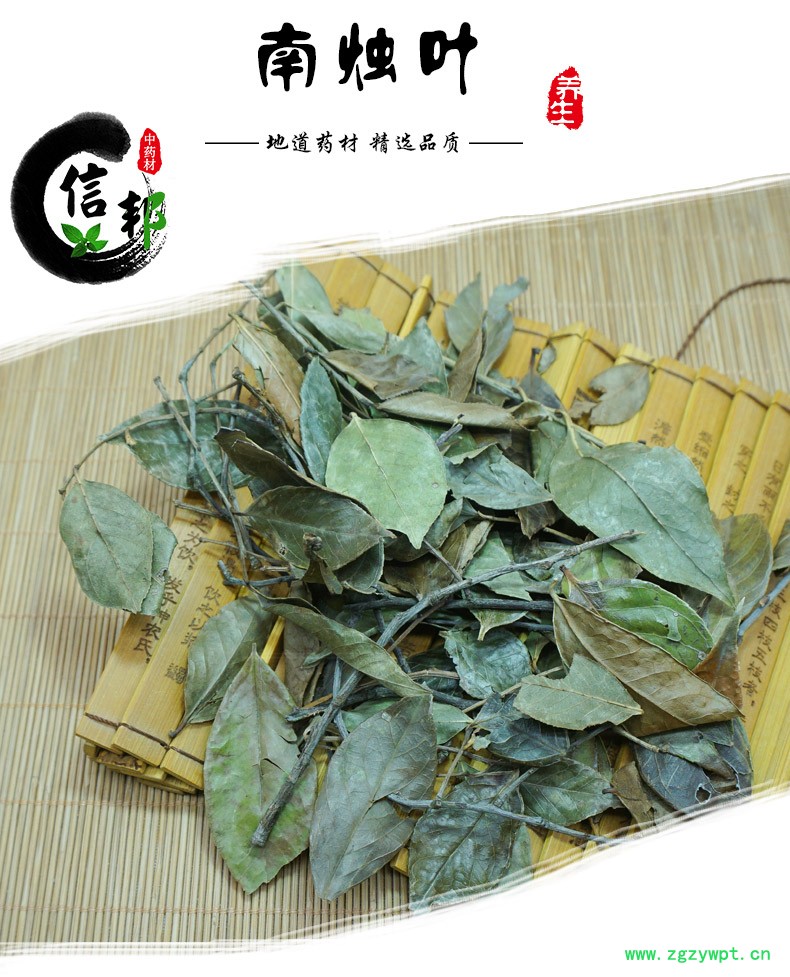 南烛叶详情1.jpg
