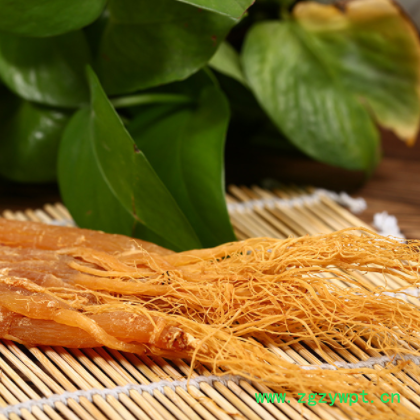 吉林长白山人参六年根红参 红参 煲汤 东北人参产地批发图2