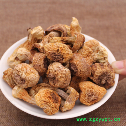 长白山特产姬松茸干货 吉林松茸散货 特产姬松茸产地销售批发图2