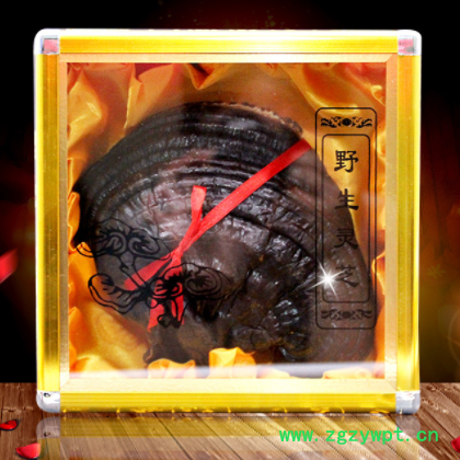 【灵芝】东北长白山灵芝 紫灵芝礼盒装 农户自采 东北大灵芝批发图2