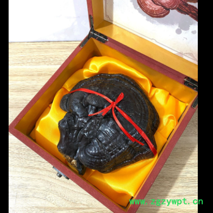 【灵芝】东北长白山灵芝 紫灵芝礼盒装 农户自采 东北大灵芝批发图3