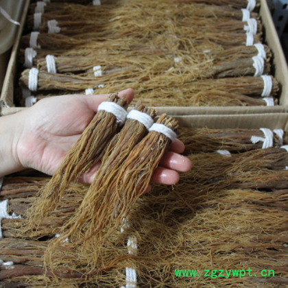 东北长白山 红参须 东北特产 煲汤 泡水 红参 红参片图2