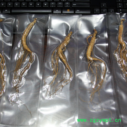 东北人参泡酒煲汤小人参林下山参 东北吉林长白山人参地摊人参图3