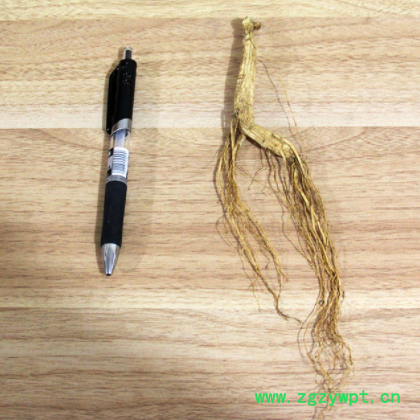 东北人参泡酒煲汤小人参林下山参 东北吉林长白山人参地摊人参图2