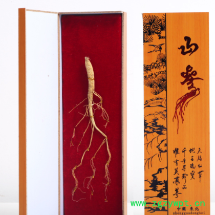 【长白山人参】东北长白山人参 礼盒装人参会销礼品人参礼盒图2