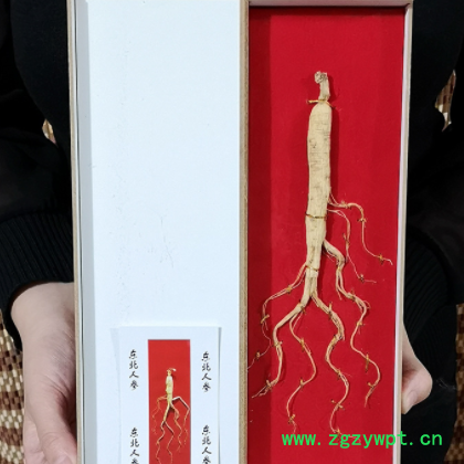 【长白山人参】东北长白山人参 礼盒装人参会销礼品人参礼盒图3