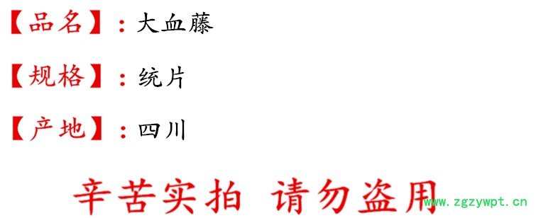 大血藤统片描述.jpg