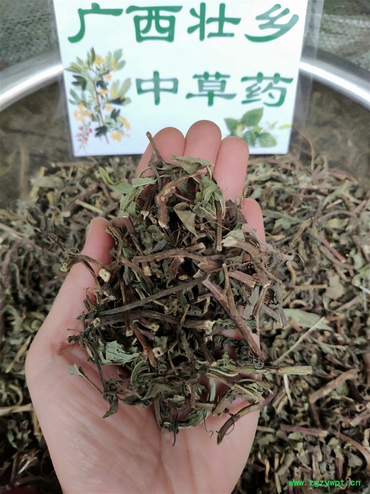 IMG_20190326_160510.jpg IMG_20190326_160510.jpg