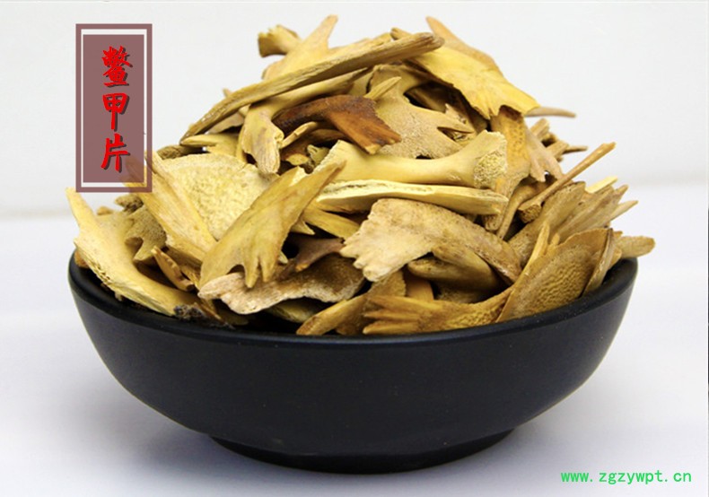 鳖甲片.jpg