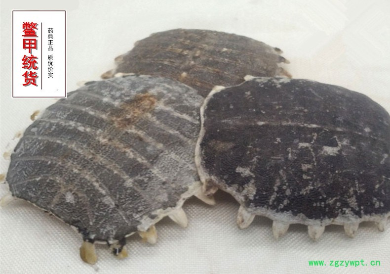 鳖甲成货1.jpg