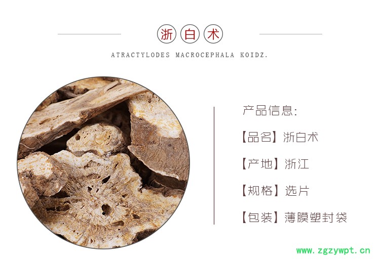 浙白术大片-产地浙江.jpg