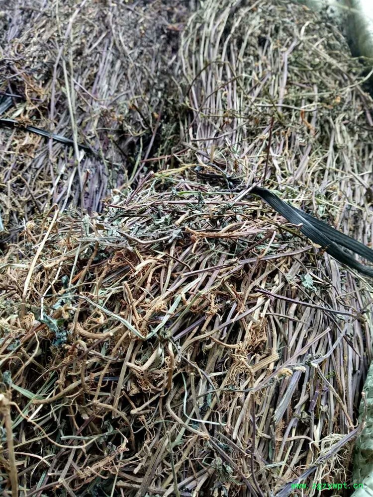 mmexport1516274516910.jpg mmexport1516274516910.jpg