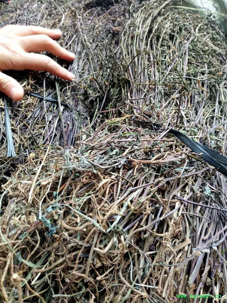 mmexport1516274521454.jpg mmexport1516274521454.jpg