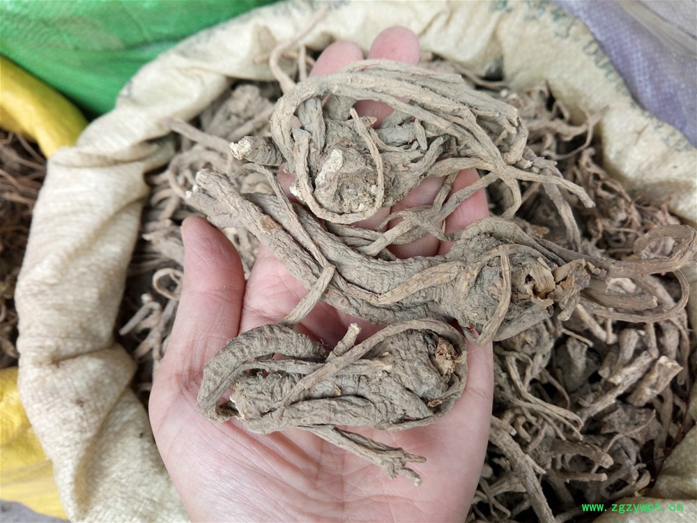 IMG_20161113_095254.jpg IMG_20161113_095254.jpg