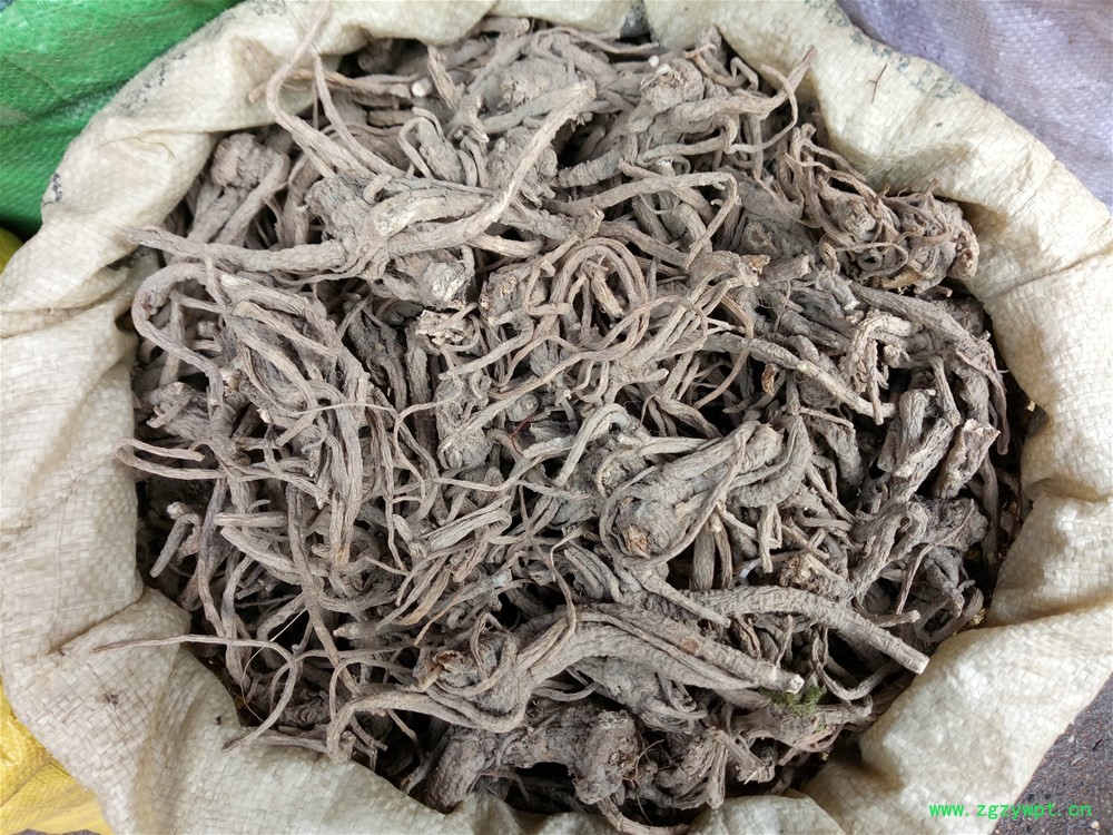 IMG_20161113_094510.jpg IMG_20161113_094510.jpg