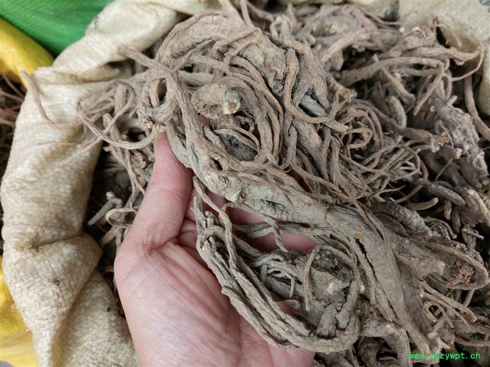 IMG_20161113_095328.jpg IMG_20161113_095328.jpg