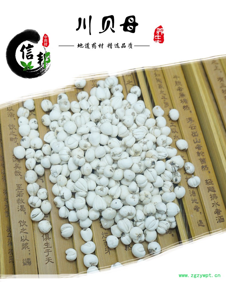 川贝母手选货-1.jpg