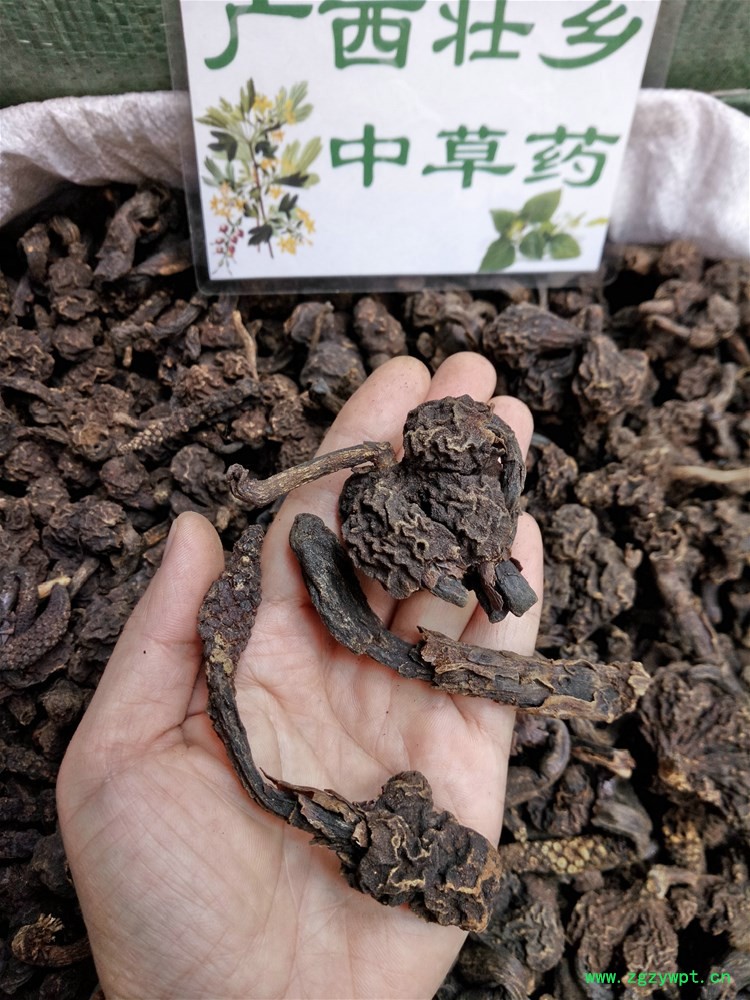 IMG_20160922_110303.jpg IMG_20160922_110303.jpg