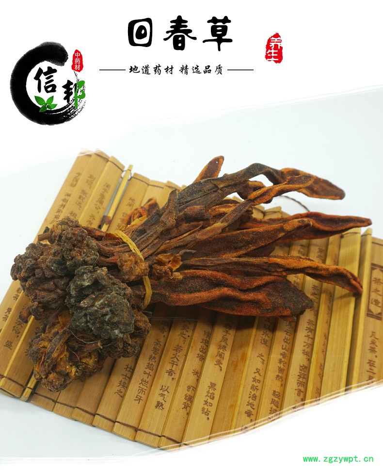 回春草详情-1.jpg